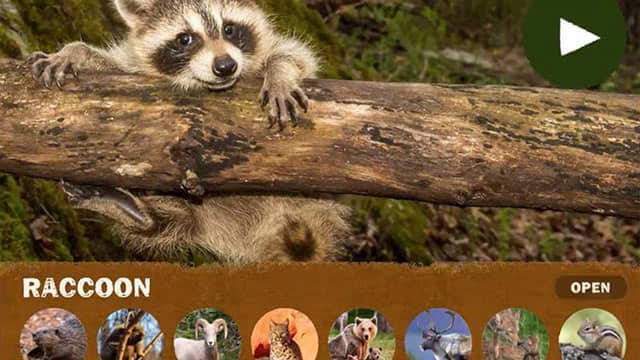 Fun Lab iOS Apps — video preview